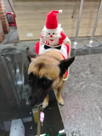 2024-25_30 花東旅遊 - Day1