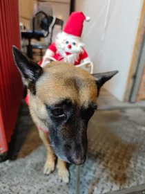 2024-25_30 花東旅遊 - Day1