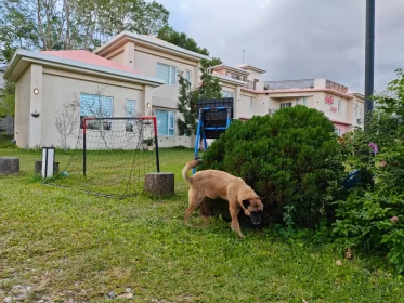 2024-25_30 花東旅遊 - Day1