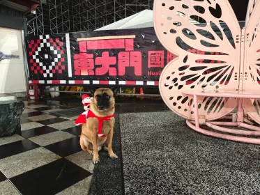 2024-25_30 花東旅遊 - Day1