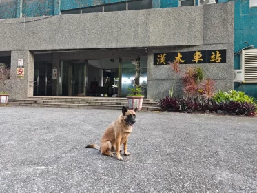 2024-25_30 花東旅遊 - Day1