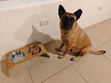 2024-25_30 花東旅遊 - Day1