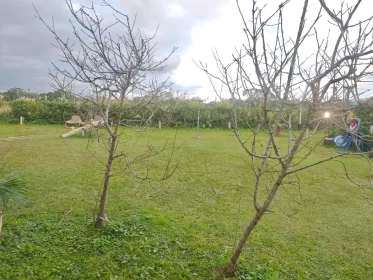 2024-25_30 花東旅遊 - Day1