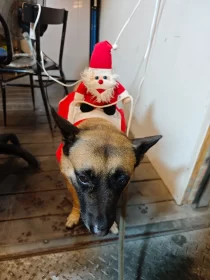 2024-25_30 花東旅遊 - Day1