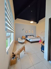 2024-25_30 花東旅遊 - Day1