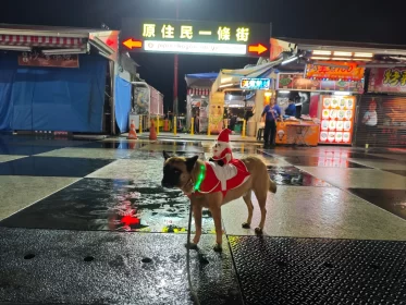 2024-25_30 花東旅遊 - Day1