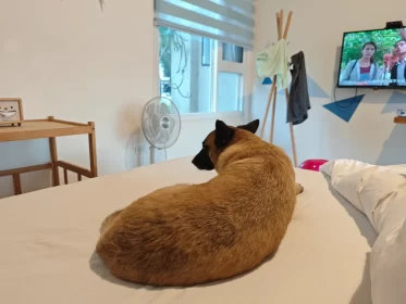 2024-25_30 花東旅遊 - Day1