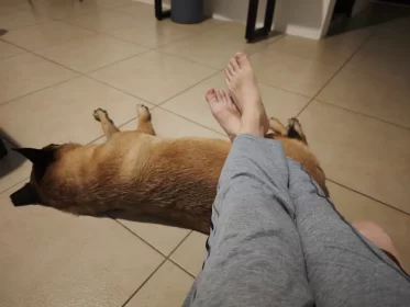 2024-25_30 花東旅遊 - Day1