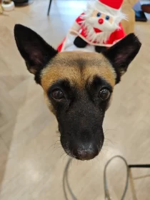 2024-25_30 花東旅遊 - Day1