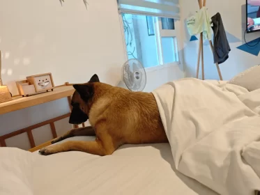 2024-25_30 花東旅遊 - Day1