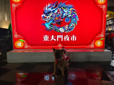 2024-25_30 花東旅遊 - Day1