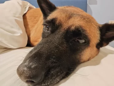 2024-25_30 花東旅遊 - Day1