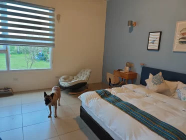 2024-25_30 花東旅遊 - Day1