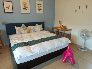 2024-25_30 花東旅遊 - Day1